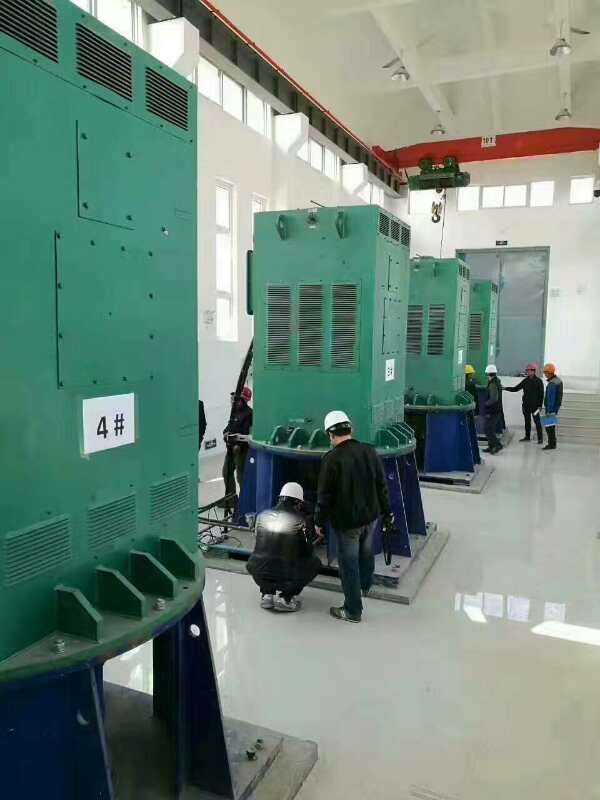 YKK800-16某污水处理厂使用我厂的立式高压电机安装现场